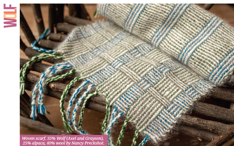 PLY #28 - Fur, Spring 2020