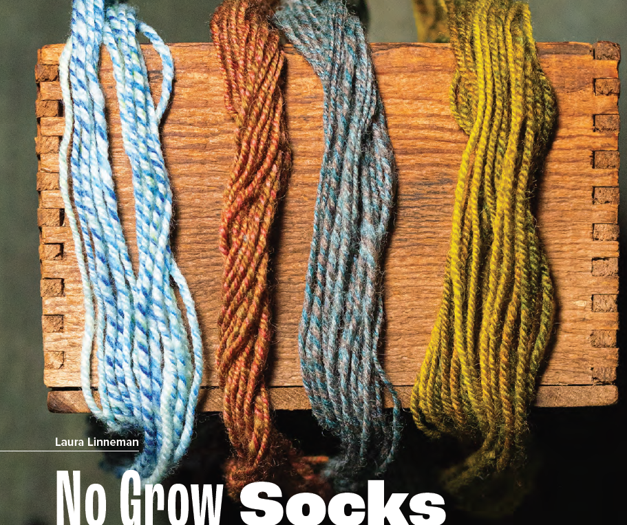 PLY #44 - Growth, Spring 2024