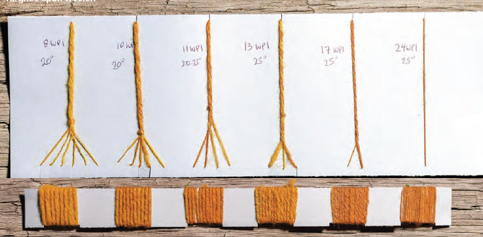PLY #44 - Growth, Spring 2024