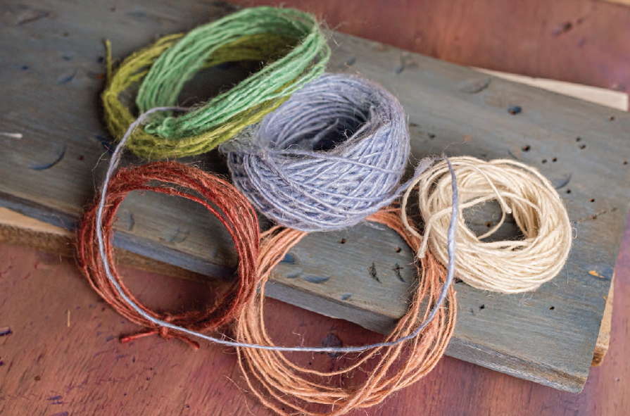 PLY #50 - Plants, Autumn 2025