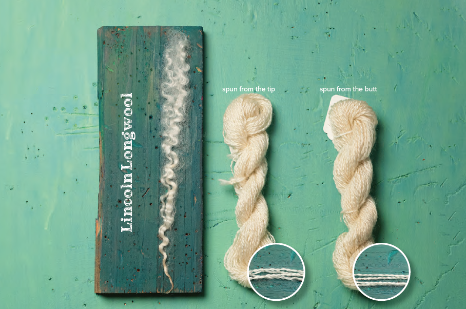 PLY #52 - Experimental, Spring 2026