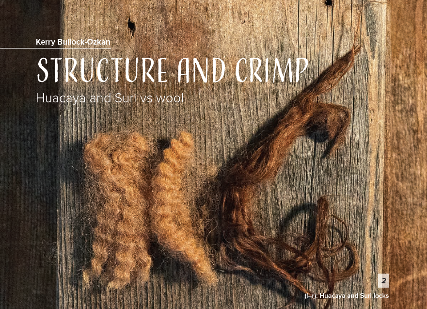 PLY #46 - Alpaca, Autumn 2024