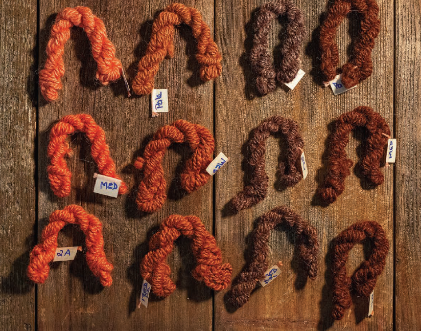 PLY #46 - Alpaca, Autumn 2024