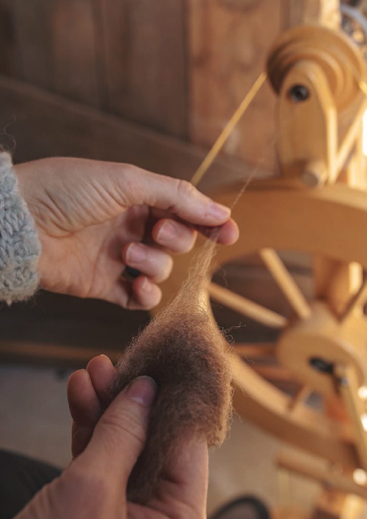 PLY #24 - Bond and Corriedale, Spring 2019