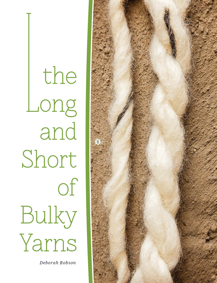 PLY #13 - Bulky, Summer 2016