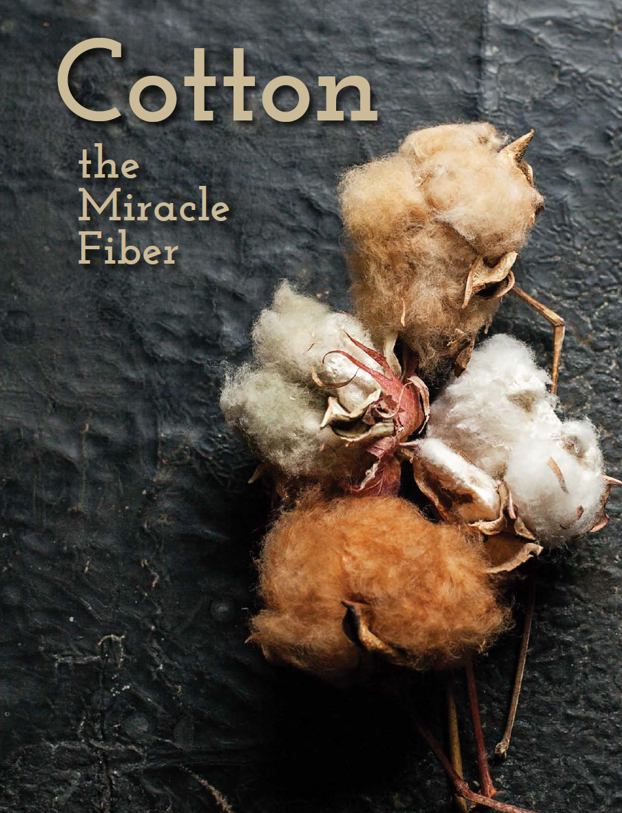 PLY #12 - Cotton, Spring 2016