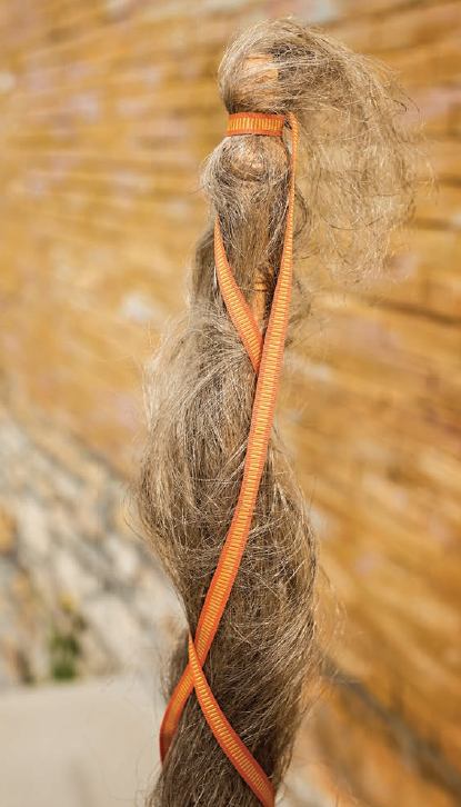 PLY #20 - Flax, Spring 2018