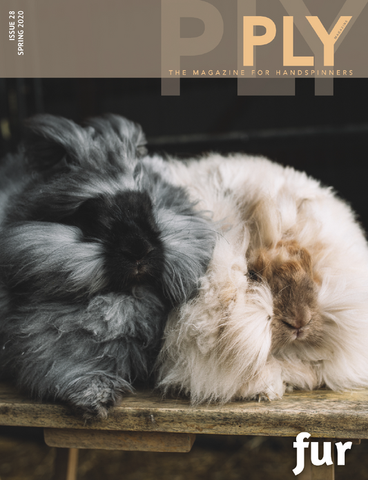 PLY #28 - Fur, Spring 2020
