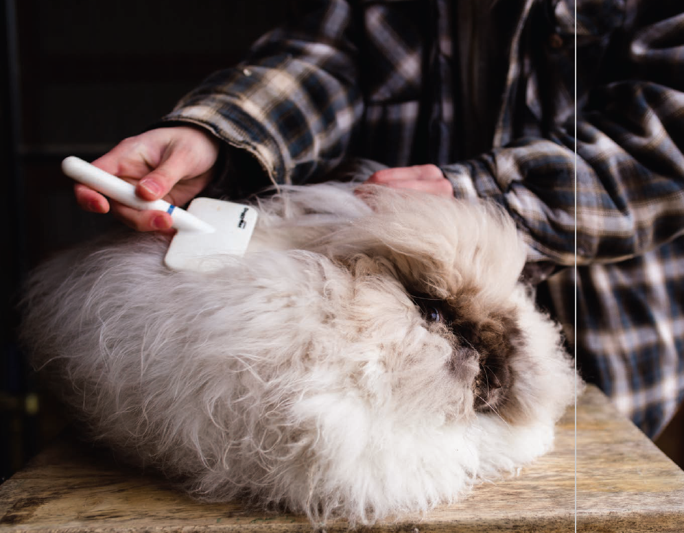 PLY #28 - Fur, Spring 2020