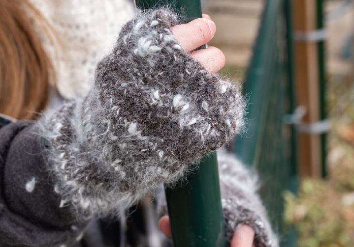 PLY #28 - Fur, Spring 2020