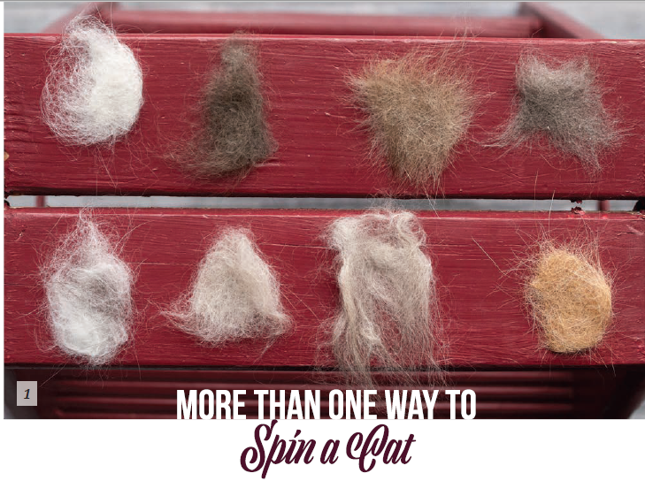 PLY #28 - Fur, Spring 2020