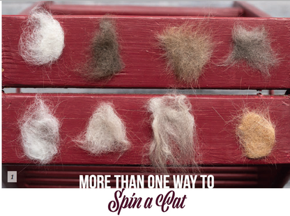 PLY #28 - Fur, Spring 2020