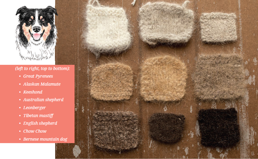 PLY #28 - Fur, Spring 2020