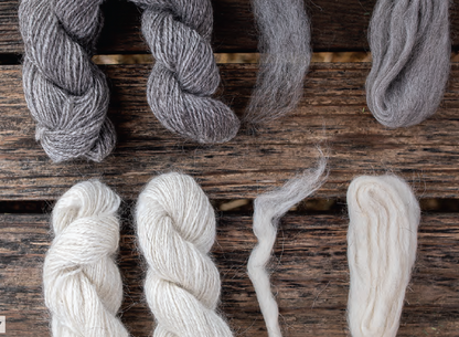 PLY #36 - Goat, Spring 2022