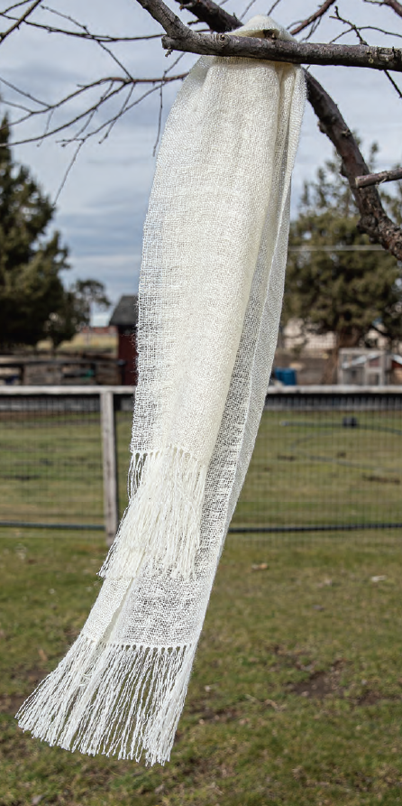 PLY #36 - Goat, Spring 2022
