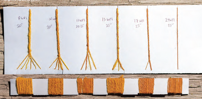 PLY #44 - Growth, Spring 2024