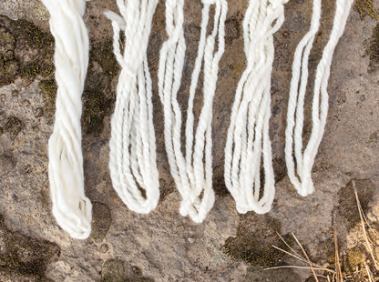 PLY #39 - Neck and Shoulders, Winter 2022