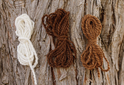 PLY #39 - Neck and Shoulders, Winter 2022