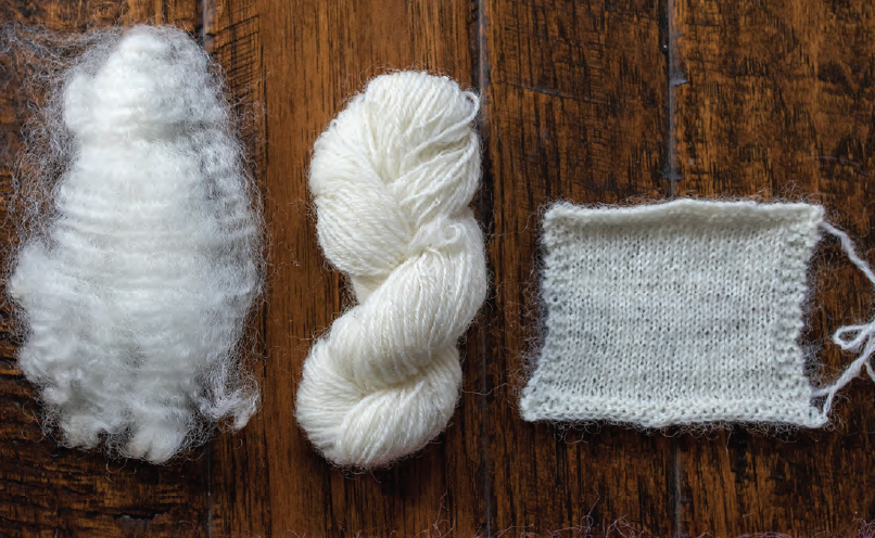 PLY #23 - Sock Yarn, Winter 2018