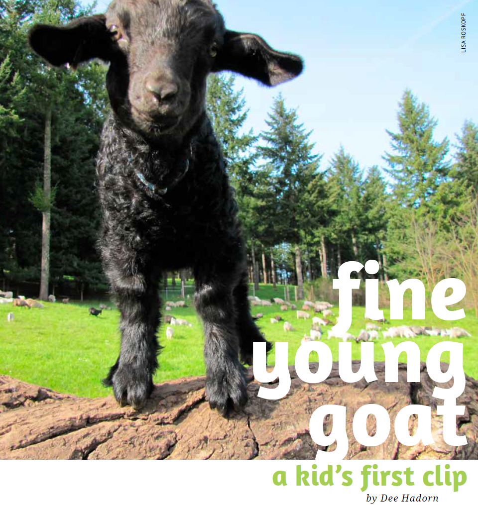 PLY #1 - First, Summer 2013