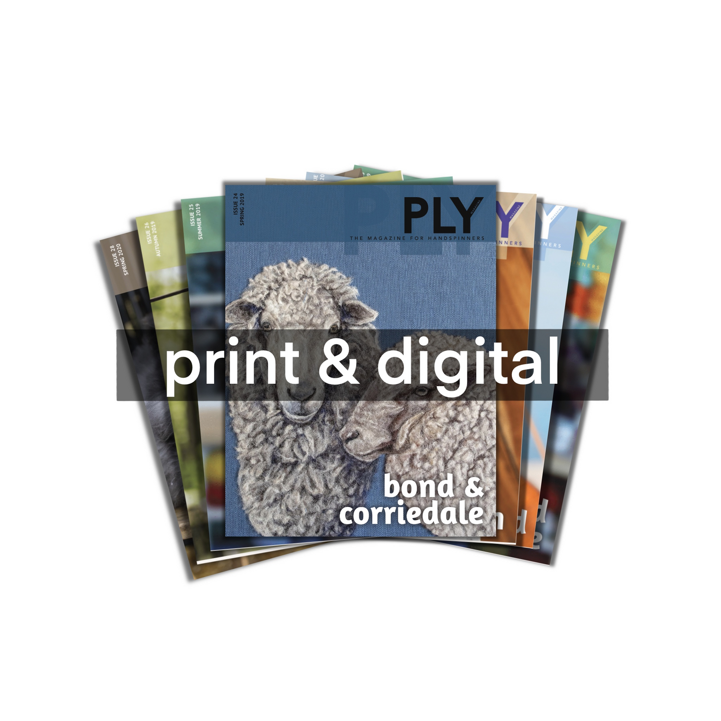 PLY - All back issues - print and digital
