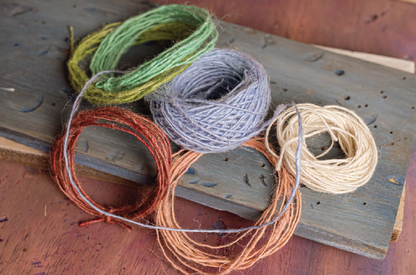 PLY #50 - Plants, Autumn 2025