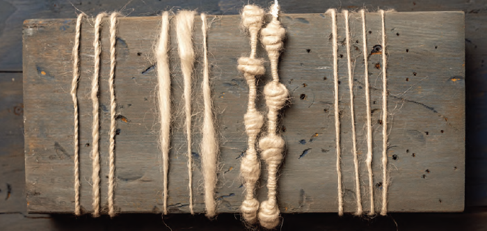 PLY #50 - Plants, Autumn 2025