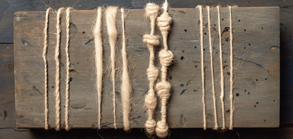 PLY #50 - Plants, Autumn 2025